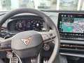 CUPRA Terramar 2.0 TSI 204 PS DSG 4Drive Weiß - thumbnail 10