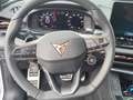 CUPRA Terramar 2.0 TSI 204 PS DSG 4Drive Weiß - thumbnail 7