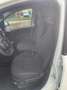 Fiat New Panda Panda VAN 1.0 Hybrid S&S 70cv  - 2 Posti Weiß - thumbnail 7