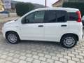 Fiat New Panda Panda VAN 1.0 Hybrid S&S 70cv  - 2 Posti Weiß - thumbnail 2