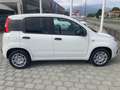 Fiat New Panda Panda VAN 1.0 Hybrid S&S 70cv  - 2 Posti Weiß - thumbnail 3