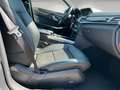 Mercedes-Benz E 300 CDI Kombi Auto. Avantgarde AAC Navi Grigio - thumbnail 14
