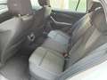 Skoda Octavia Octavia Wagon 2.0 tdi evo Executive 115cv Bianco - thumbnail 9