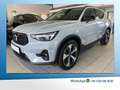 Volvo XC40 B3 Plus Dark BLIS Leder Kamera Pixel-LED Grau - thumbnail 1
