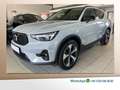 Volvo XC40 B3 Plus Dark BLIS Leder Kamera Pixel-LED Gris - thumbnail 1