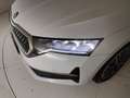 Skoda Octavia Wagon 2.0 tdi Executive 150cv dsg Bianco - thumbnail 6
