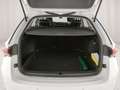 Skoda Octavia Wagon 2.0 tdi Executive 150cv dsg Bianco - thumbnail 4
