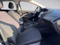 Ford Focus Traveller 1,0 EcoBoost Trend Schwarz - thumbnail 12