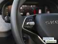 Skoda Kamiq Tour 1.0TSI 70KW MATRIX ASSISTS RKAM PDC LM Grau - thumbnail 19