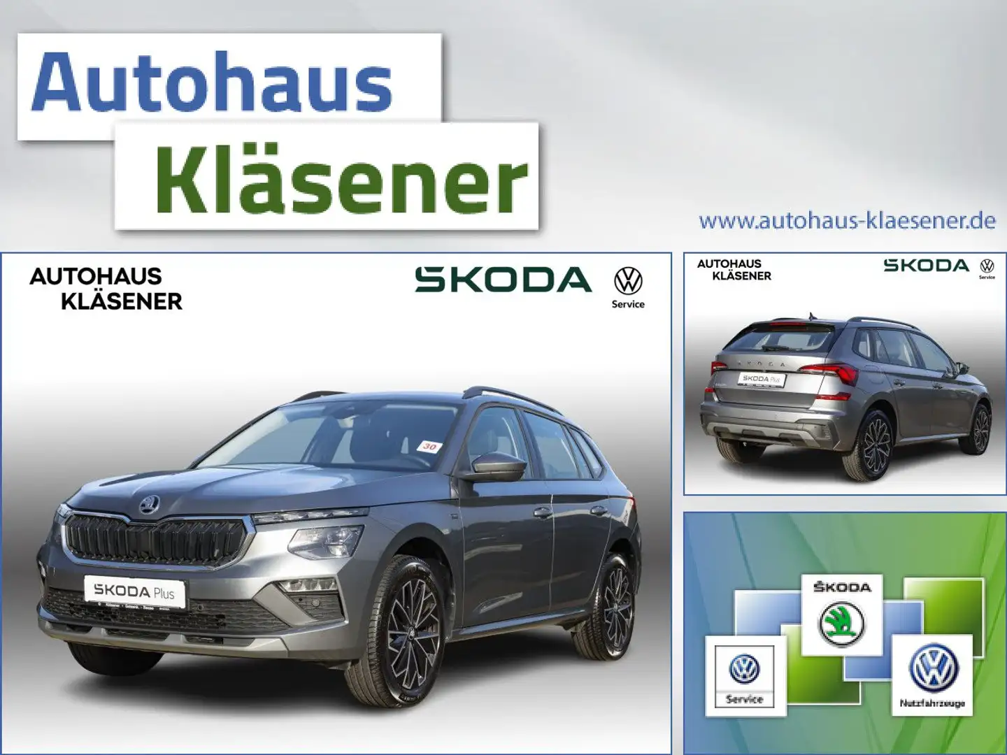 Skoda Kamiq Tour 1.0TSI 70KW MATRIX ASSISTS RKAM PDC LM Gris - 1