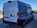 Fiat Ducato 33 2.3 MJT 160CV PM-TM Furgone Bianco - thumbnail 6