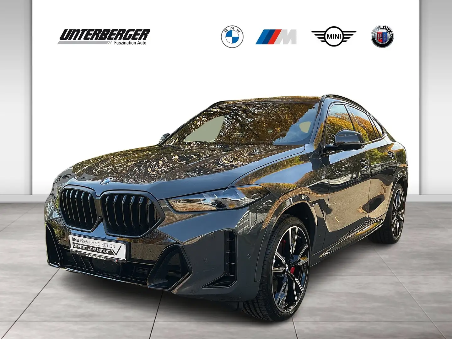 BMW X6 xDrive40d M Sport Gestiksteuerung HK HiFi Grau - 1
