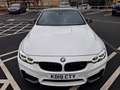 BMW M4 M4 Coupe 3.0 450cv dkg Bianco - thumbnail 5