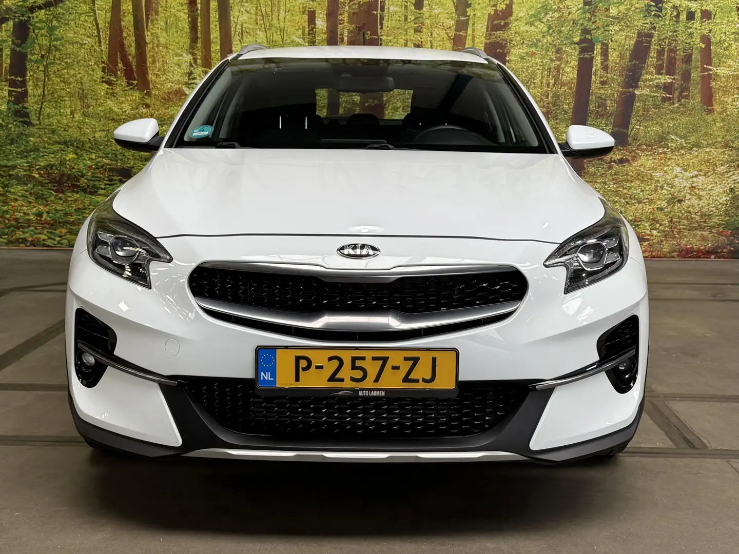 Kia XCeed 1.0 T-GDi ComfortLine 120 PK Airco Navi Camera App Wit - 2