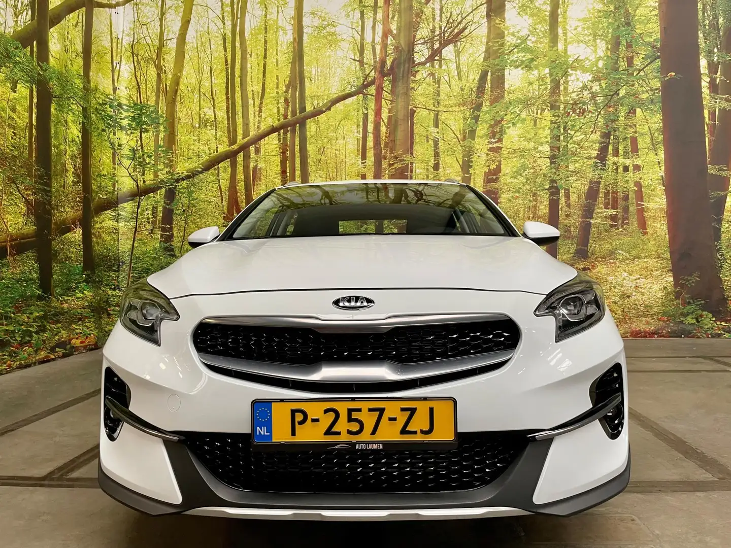 Kia XCeed 1.0 T-GDi ComfortLine Airco LED 18 Inch LDW Cruise Alb - 2