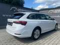 Skoda Octavia 2.0 Tdi 110 KW BUSINESS COMBI DSG Blanco - thumbnail 4