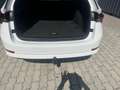 Skoda Octavia 2.0 Tdi 110 KW BUSINESS COMBI DSG Blanco - thumbnail 11