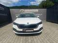 Skoda Octavia 2.0 Tdi 110 KW BUSINESS COMBI DSG Blanco - thumbnail 2