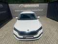 Skoda Octavia 2.0 Tdi 110 KW BUSINESS COMBI DSG Blanco - thumbnail 7