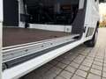 Fiat Ducato 2.3 Multijet / Système Élévateur 57 000KM Blanc - thumbnail 14