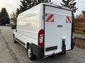Fiat Ducato 2.3 Multijet / Système Élévateur 57 000KM Blanc - thumbnail 4