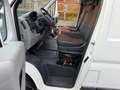 Fiat Ducato 2.3 Multijet / Système Élévateur 57 000KM Blanc - thumbnail 20