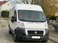 Fiat Ducato 2.3 Multijet / Système Élévateur 57 000KM Blanc - thumbnail 3