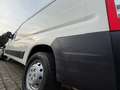 Fiat Ducato 2.3 Multijet / Système Élévateur 57 000KM Blanc - thumbnail 5