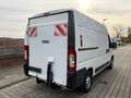 Fiat Ducato 2.3 Multijet / Système Élévateur 57 000KM Blanc - thumbnail 6