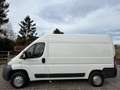 Fiat Ducato 2.3 Multijet / Système Élévateur 57 000KM Blanc - thumbnail 8