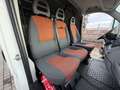 Fiat Ducato 2.3 Multijet / Système Élévateur 57 000KM Blanc - thumbnail 22