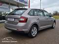 Skoda Rapid/Spaceback Spaceback 1.0 TSI Ambition AHK/Winter/ALU Beige - thumbnail 11