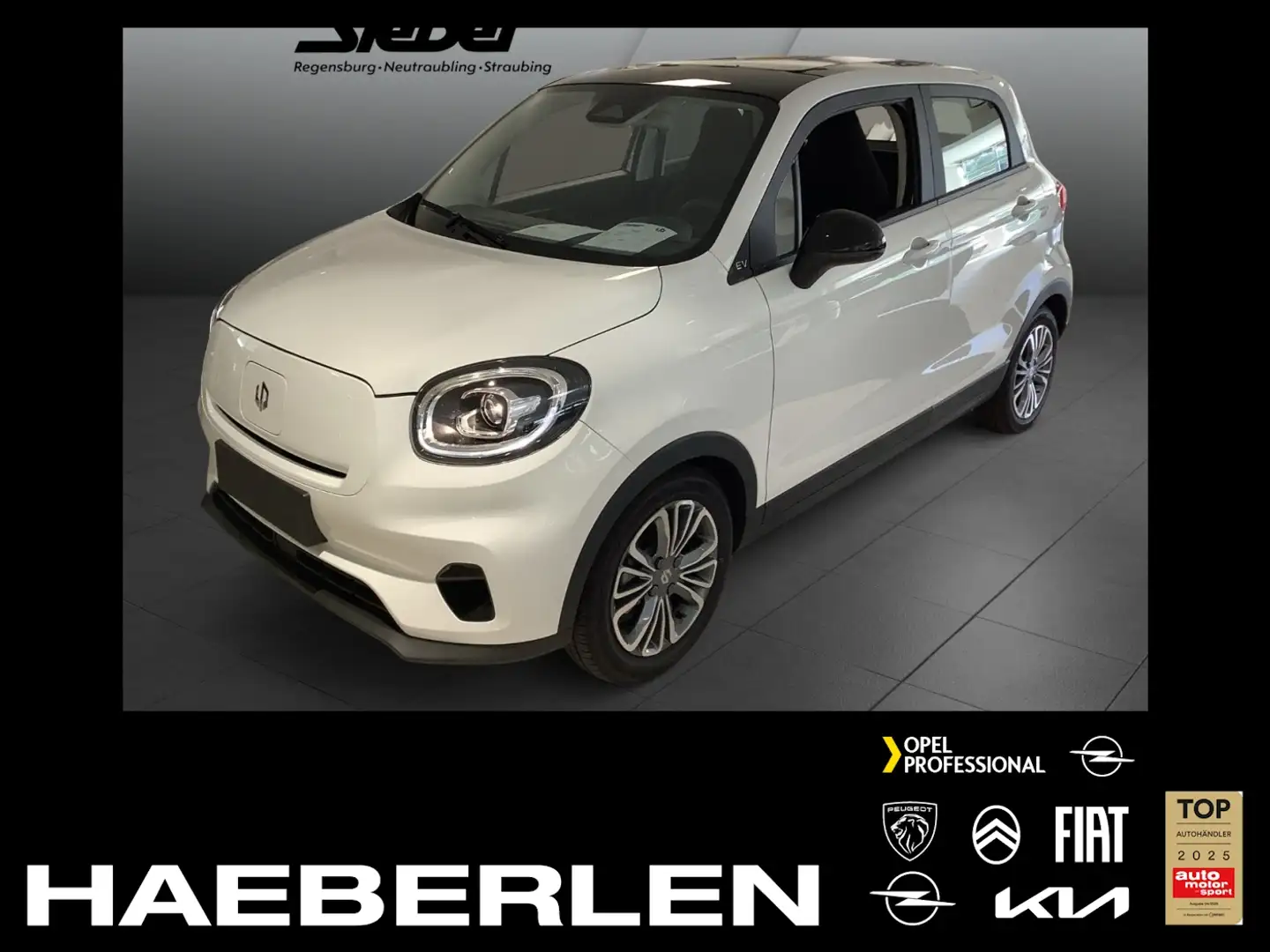 Leapmotor T03 37,3kWh *NAVI*Rückfahrkamera* Matrix+ACC+SD Weiß - 1