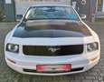 Ford Mustang 4.0 V6 LPG Cabrio Wit - thumbnail 14