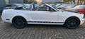 Ford Mustang 4.0 V6 LPG Cabrio Wit - thumbnail 11