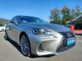 Lexus IS 300 IS III 2017 300h 2.5 Luxury cvt Grau - thumbnail 3