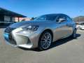 Lexus IS 300 IS III 2017 300h 2.5 Luxury cvt Grau - thumbnail 1