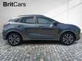 Ford Puma ST-Line X LED+Navi+Kamera+Winterpaket Grau - thumbnail 8
