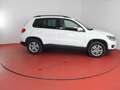 Volkswagen Tiguan 1.4 TSI TÜV bis 11.2025 Sitzheizung Parkpilot Blanc - thumbnail 26