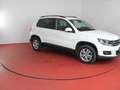 Volkswagen Tiguan 1.4 TSI TÜV bis 11.2025 Sitzheizung Parkpilot Blanc - thumbnail 28