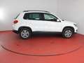 Volkswagen Tiguan 1.4 TSI TÜV bis 11.2025 Sitzheizung Parkpilot Blanc - thumbnail 25