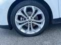 Renault Scenic 1.7 Blue dCi 120ch Business 120 ch Weiß - thumbnail 13
