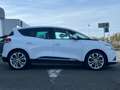 Renault Scenic 1.7 Blue dCi 120ch Business 120 ch Weiß - thumbnail 6