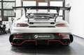 Mercedes-Benz AMG GT Track Series Limited 55 Rennwagen Plateado - thumbnail 12