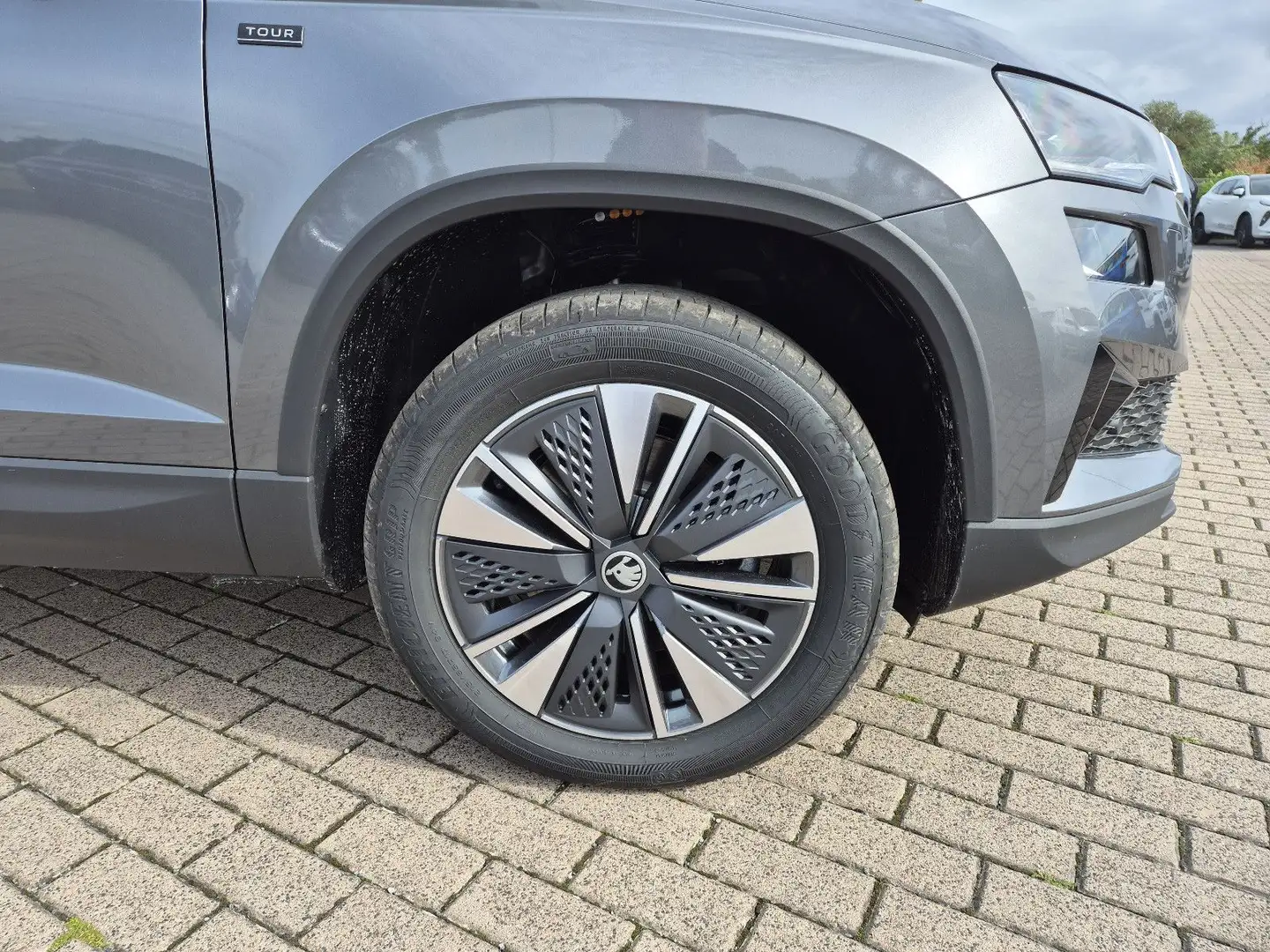 Skoda Karoq Selection ACC Anhäng. Behei.Lenkrad Kamera Grau - 2