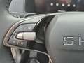 Skoda Karoq Selection ACC Anhäng. Behei.Lenkrad Kamera Grau - thumbnail 20