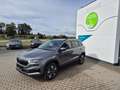 Skoda Karoq Selection ACC Anhäng. Behei.Lenkrad Kamera Grau - thumbnail 1