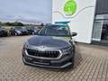Skoda Karoq Selection ACC Anhäng. Behei.Lenkrad Kamera Grau - thumbnail 10