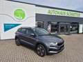 Skoda Karoq Selection ACC Anhäng. Behei.Lenkrad Kamera Grau - thumbnail 9