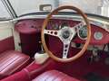 Austin-Healey Sprite Sprite Mk I Frog Eye Weiß - thumbnail 12